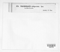 Image Associated With the Occurence